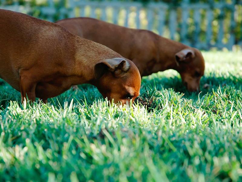 feedback screenshot 3