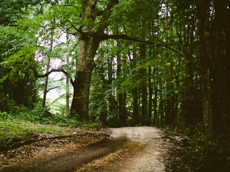 sudoku brain training screenshot 4